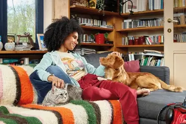 beaphar fiprotec vlooien tekendruppels hond kat