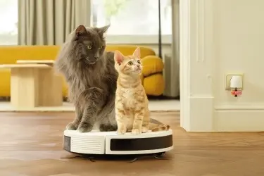 Beaphar CatComfort voor stressvolle situaties gedragsproblemen kat