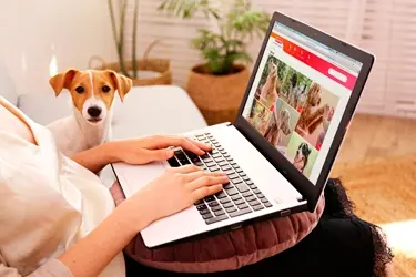 contact Beaphar zakelijk