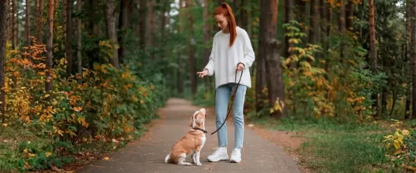 Beaphar Gedrag en training voor honden
