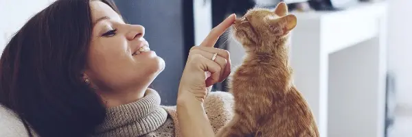 kat stinkt uit bek